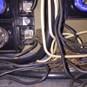 Electrical Inspection