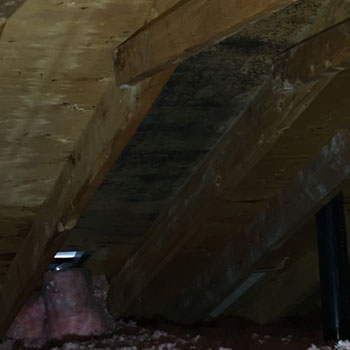 Natural and Mechanical Ventilation